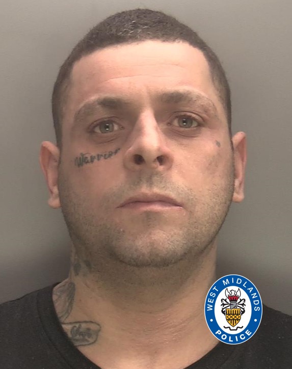 Benjamin Levy  s photo