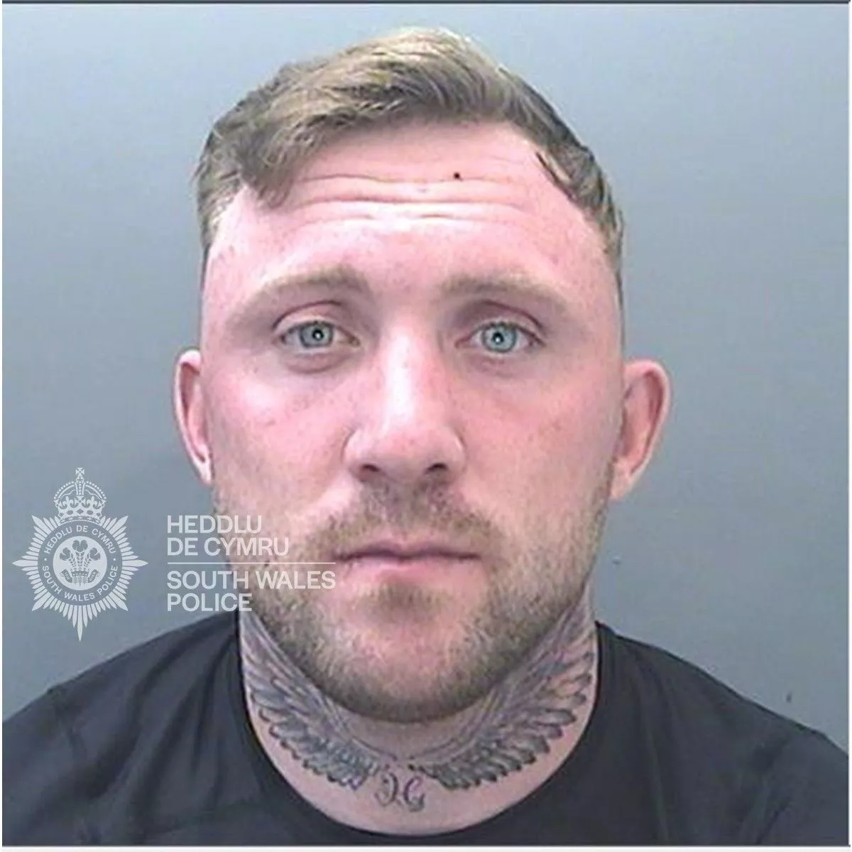 Curtis Green s photo