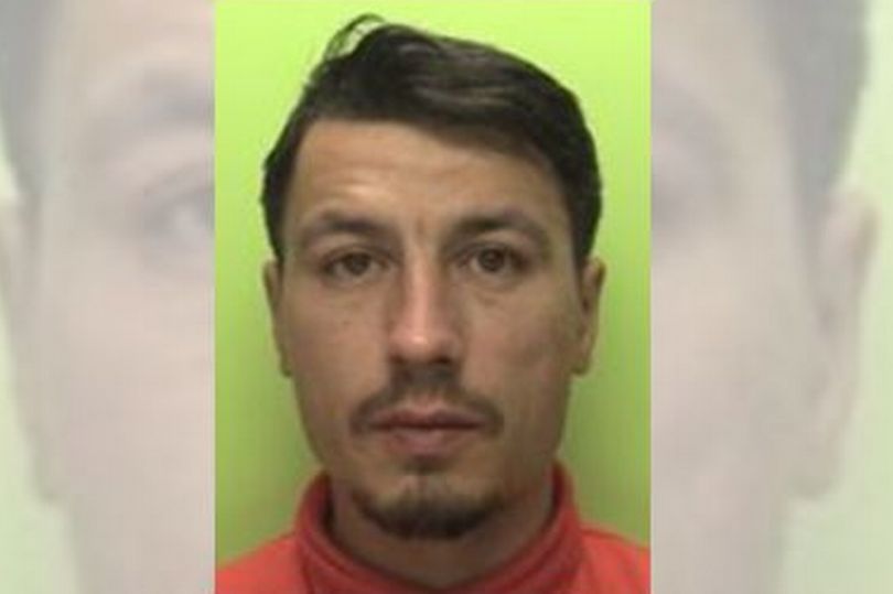 Ionut Torodoc s photo