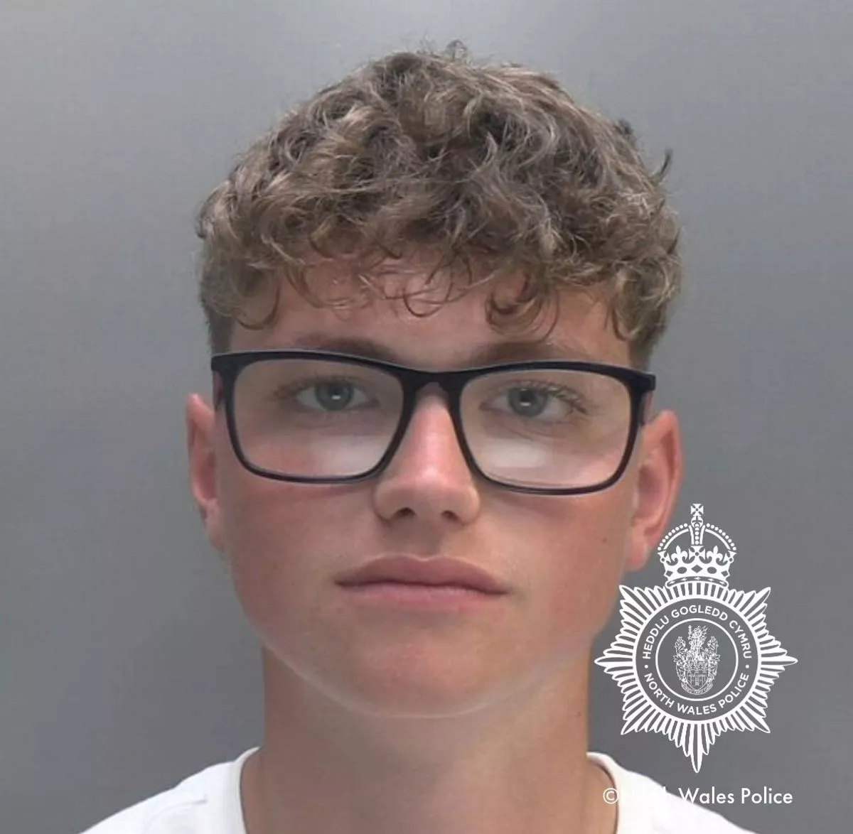 Owen Zissler s photo