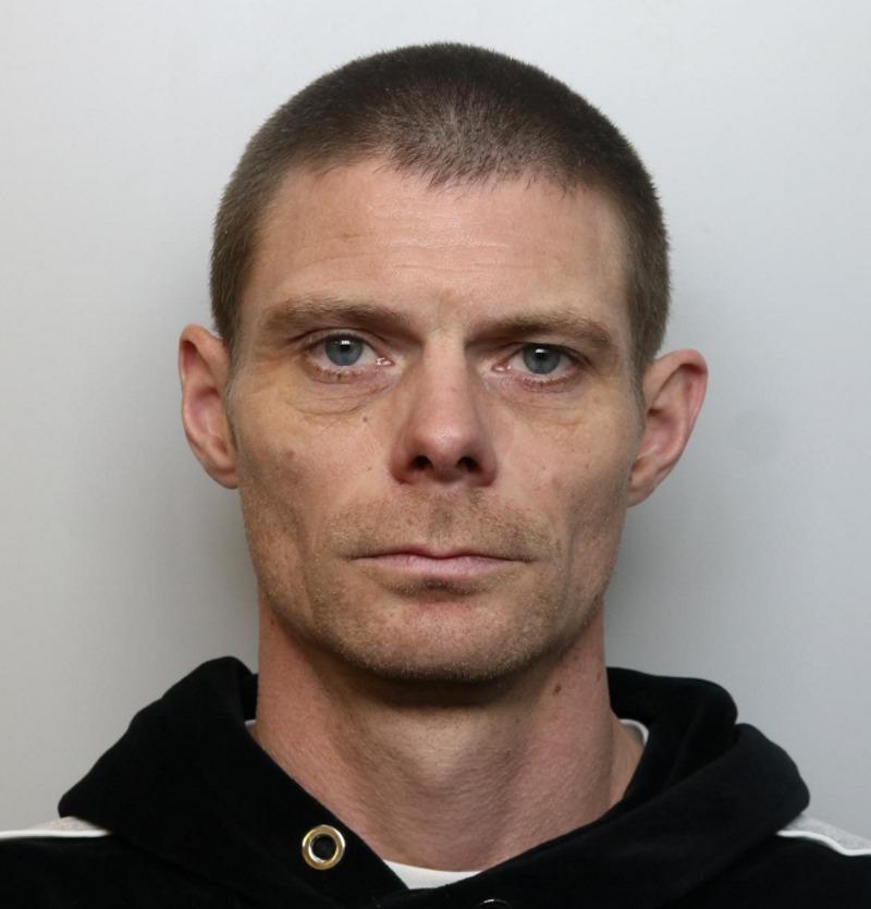 Phillip Collins s photo