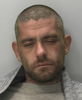 Wade Robinson s photo